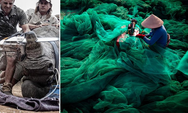 الصور الفائزة بجوائز Environmental Photographer of the Year لعام 2019